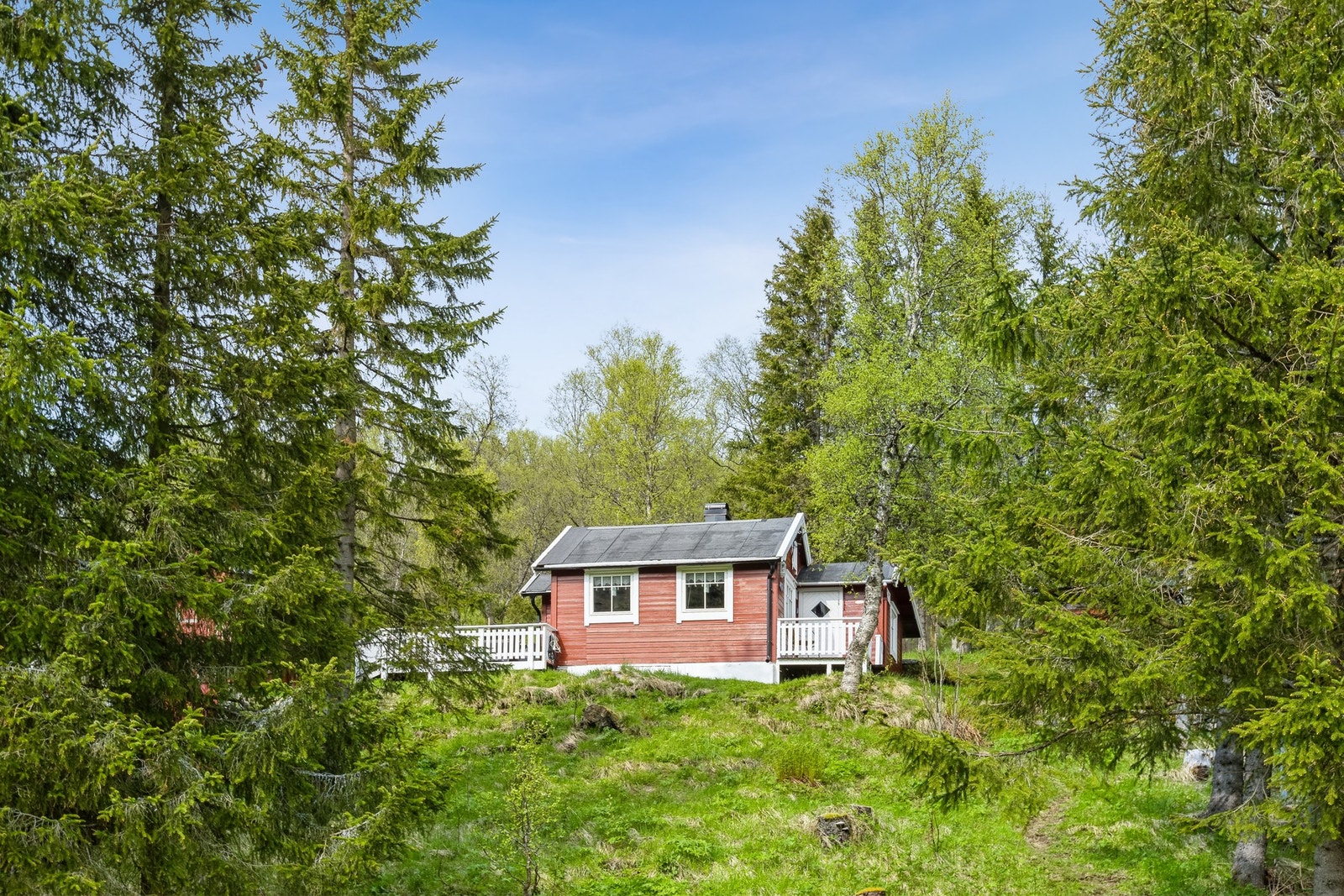 Her får du en velholdt og oppgradert hytte omgitt av vakker natur og med gode solforhold Galleribilde