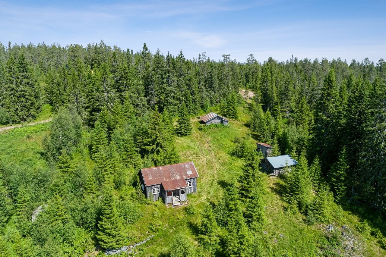 Oversiktsbilde setertun Galleribilde