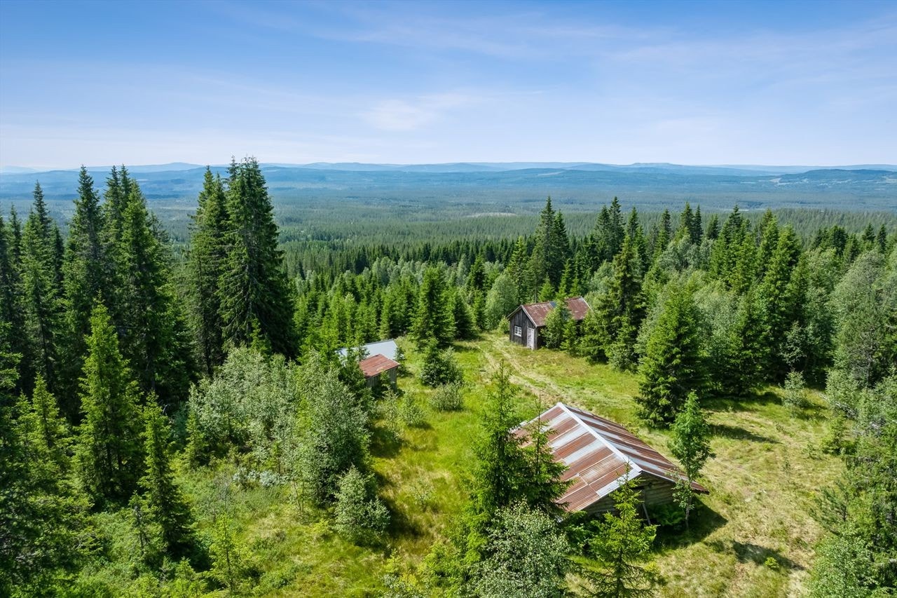 Oversiktsbilde fra setertunet Galleribilde