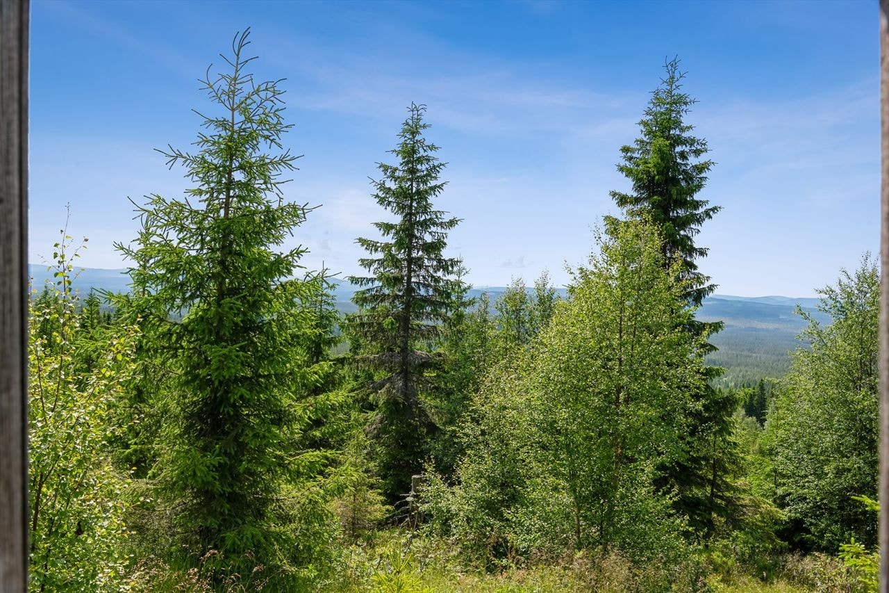 Utsikt fra setra Galleribilde