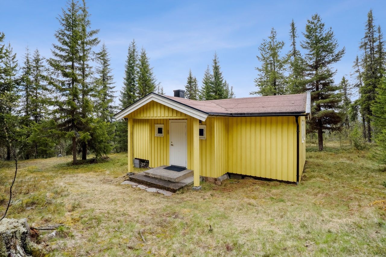 Koselig fritidseiendom ved Gråsjøen opp mot Atndalen, i Stor-Elvdal Kommune Galleribilde