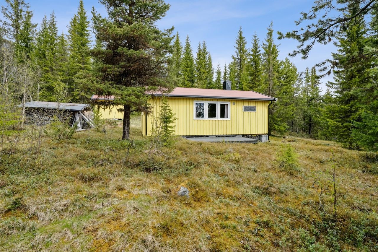 Plattingen er på 9 m2 Galleribilde