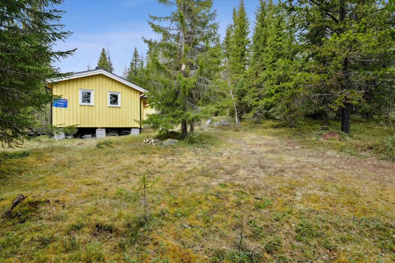 Skrå naturtomt med grasvoll Galleribilde