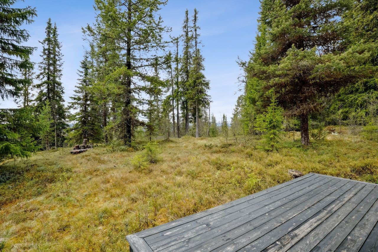 Usjenert og solrik uteplass Galleribilde