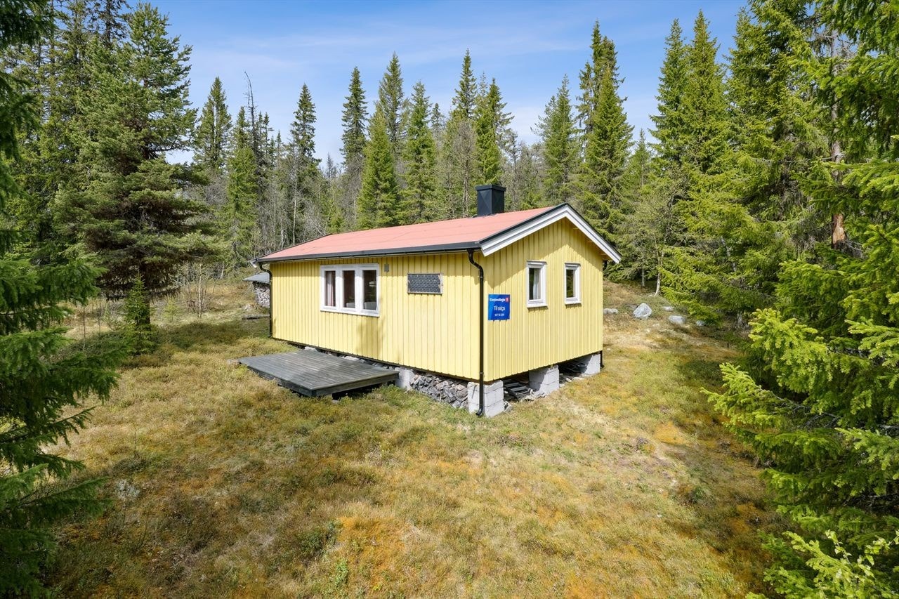 Eiendommen ligger fint og usjenert til med god avstand og skjermende skog mellom de andre hyttene i området Galleribilde