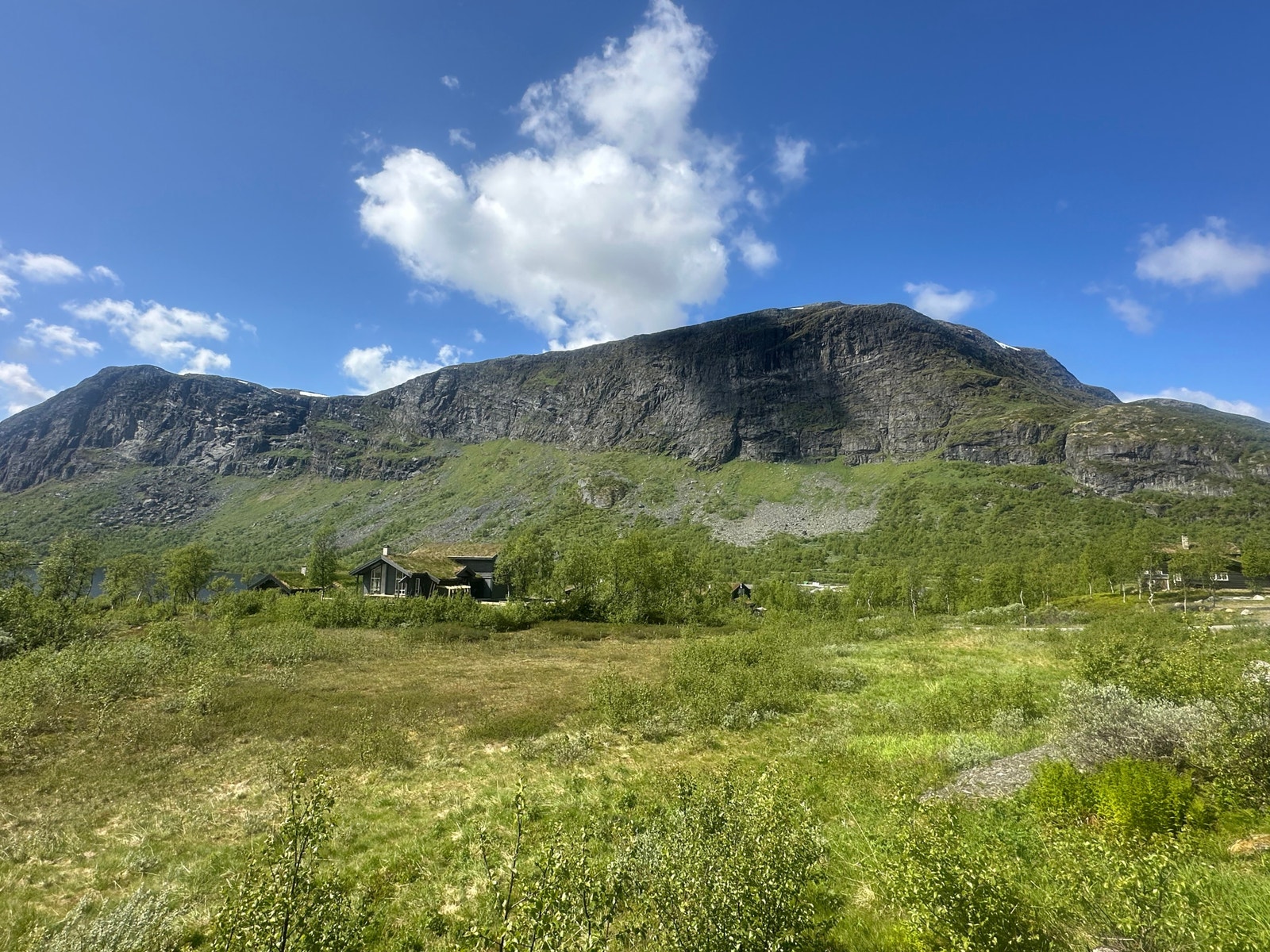 Mot nord Galleribilde