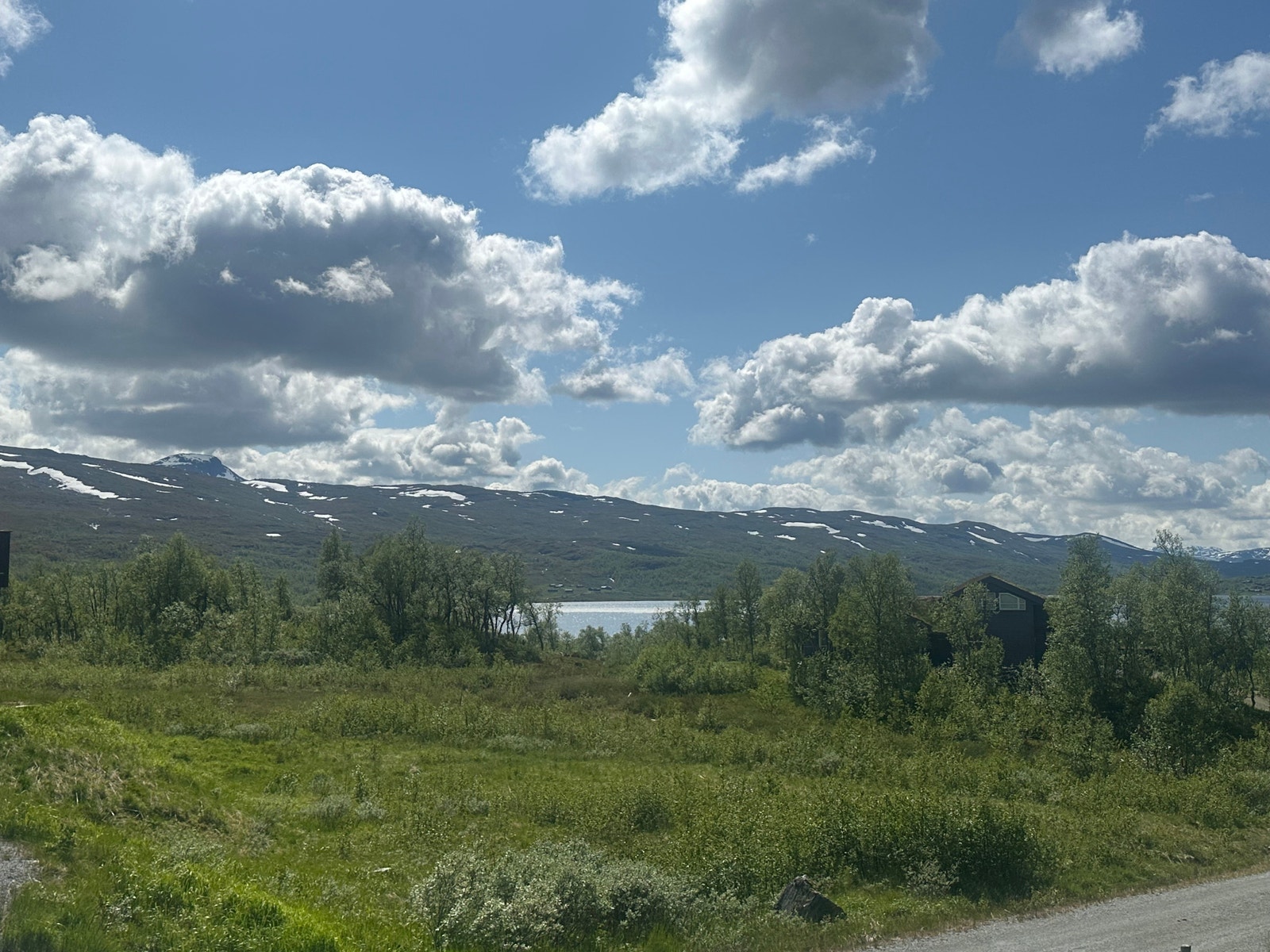 Tomten mot sørvest Galleribilde
