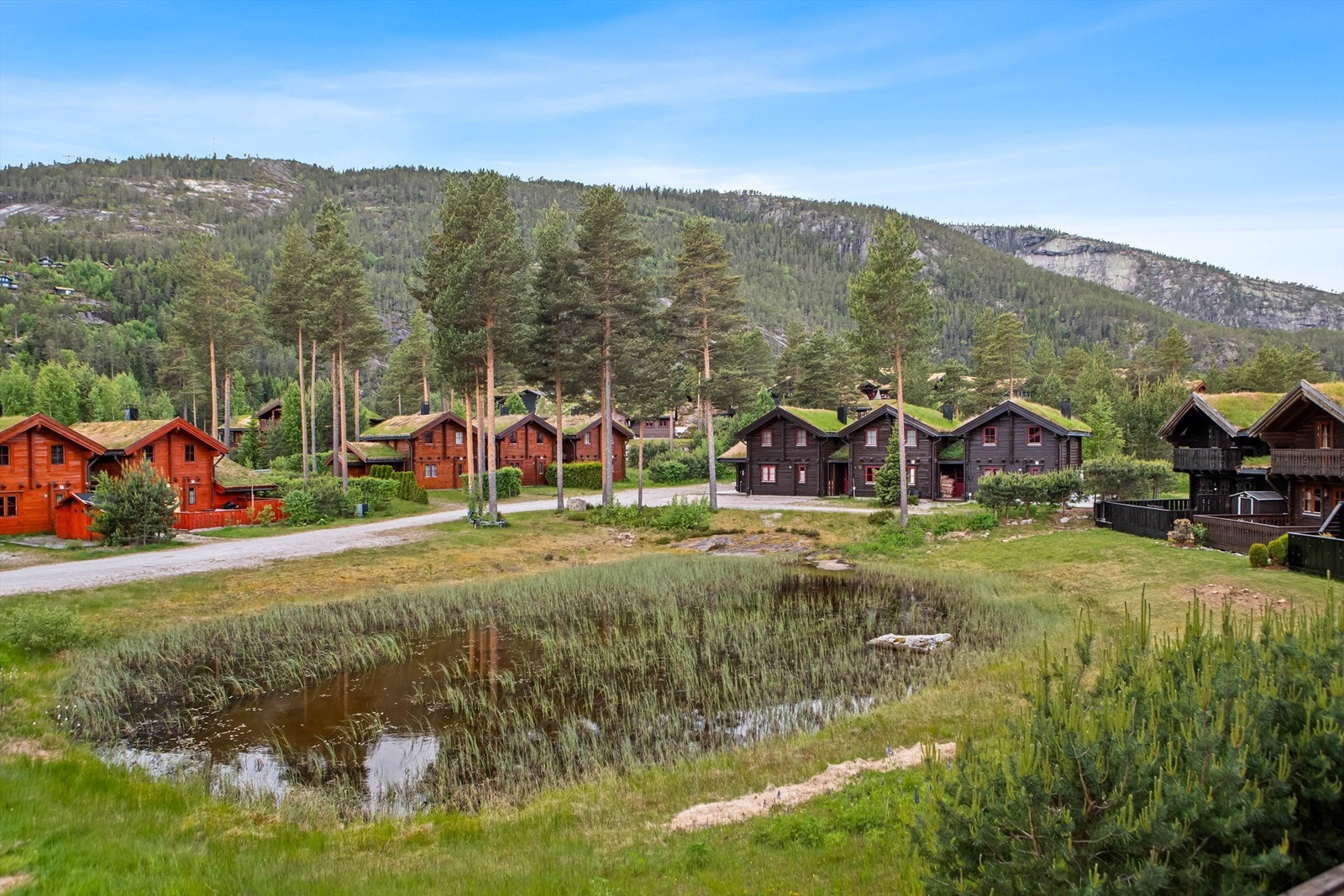 Nydelig utsyn over tunet og fjellene. Galleribilde