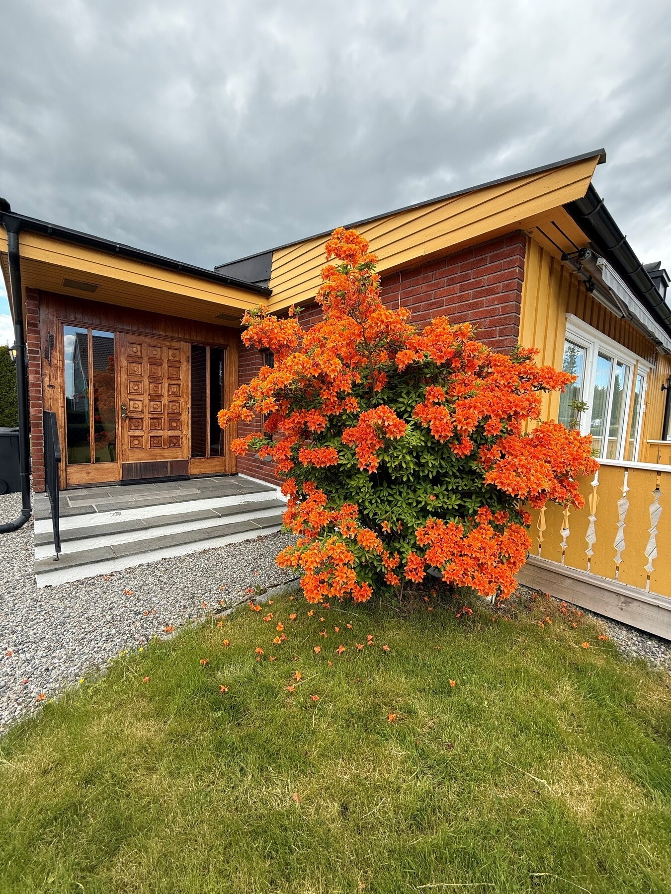 Bilde er tatt litt tidligere i sommer, hvor det blomstrer frodig ved inngangspartiet med store, oransje blomster. Galleribilde