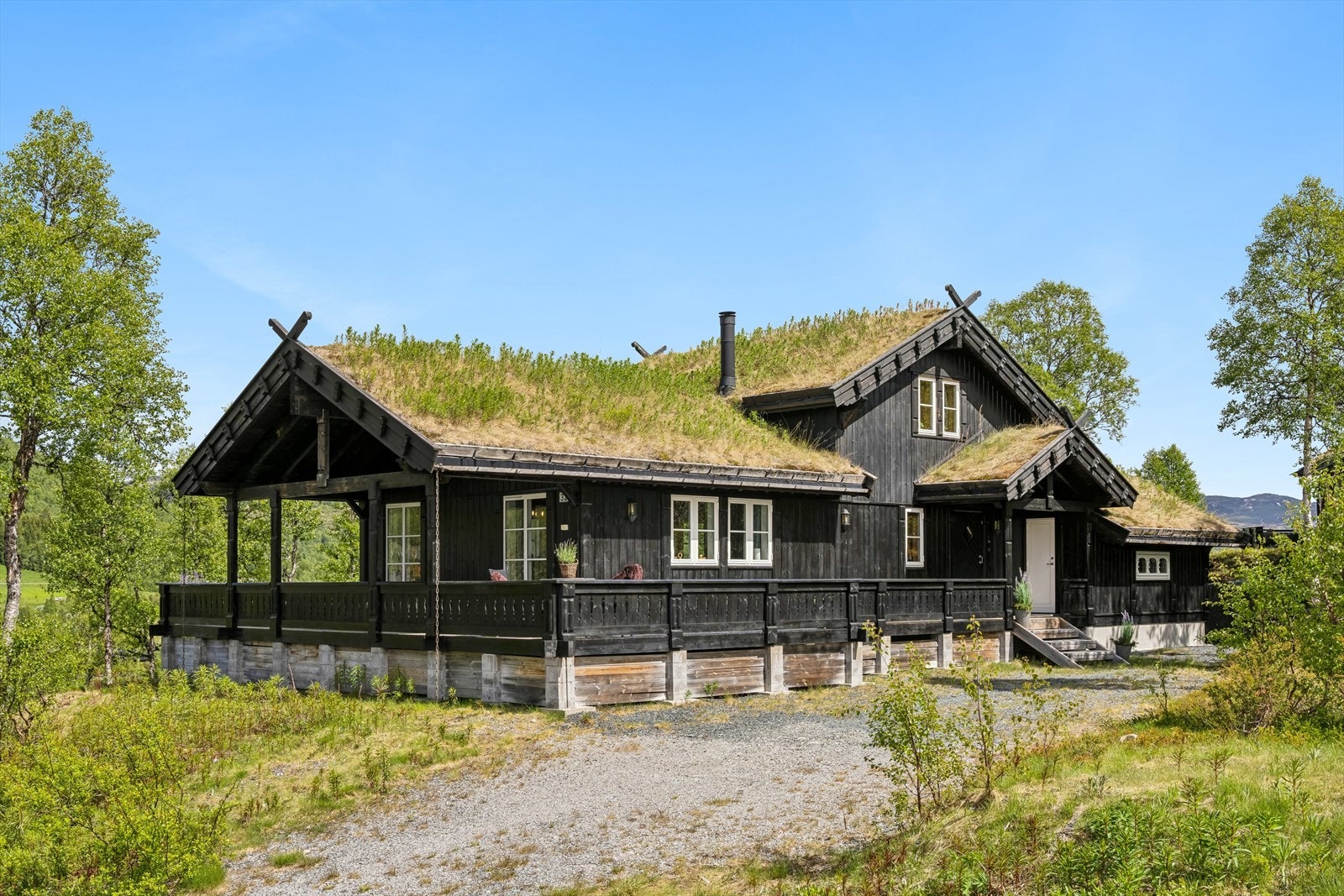 Velkommen til visning! Galleribilde