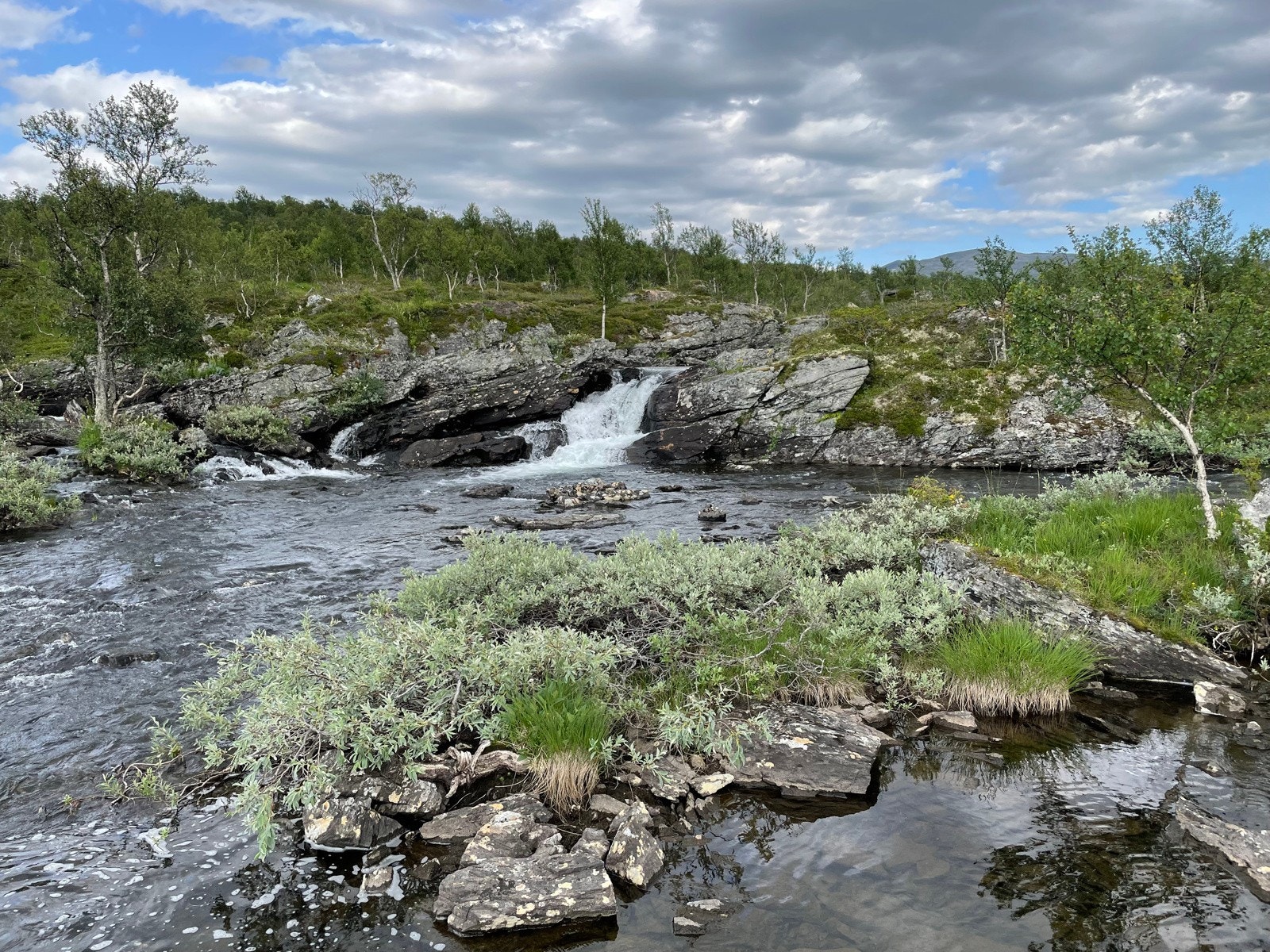 Fantastisk natur i umiddelbar nærhet. Bilde tatt av selger Galleribilde