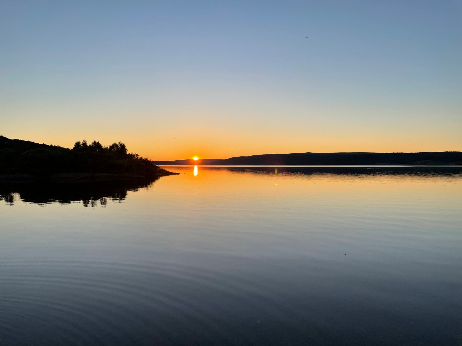 Bilde tatt av selger Galleribilde