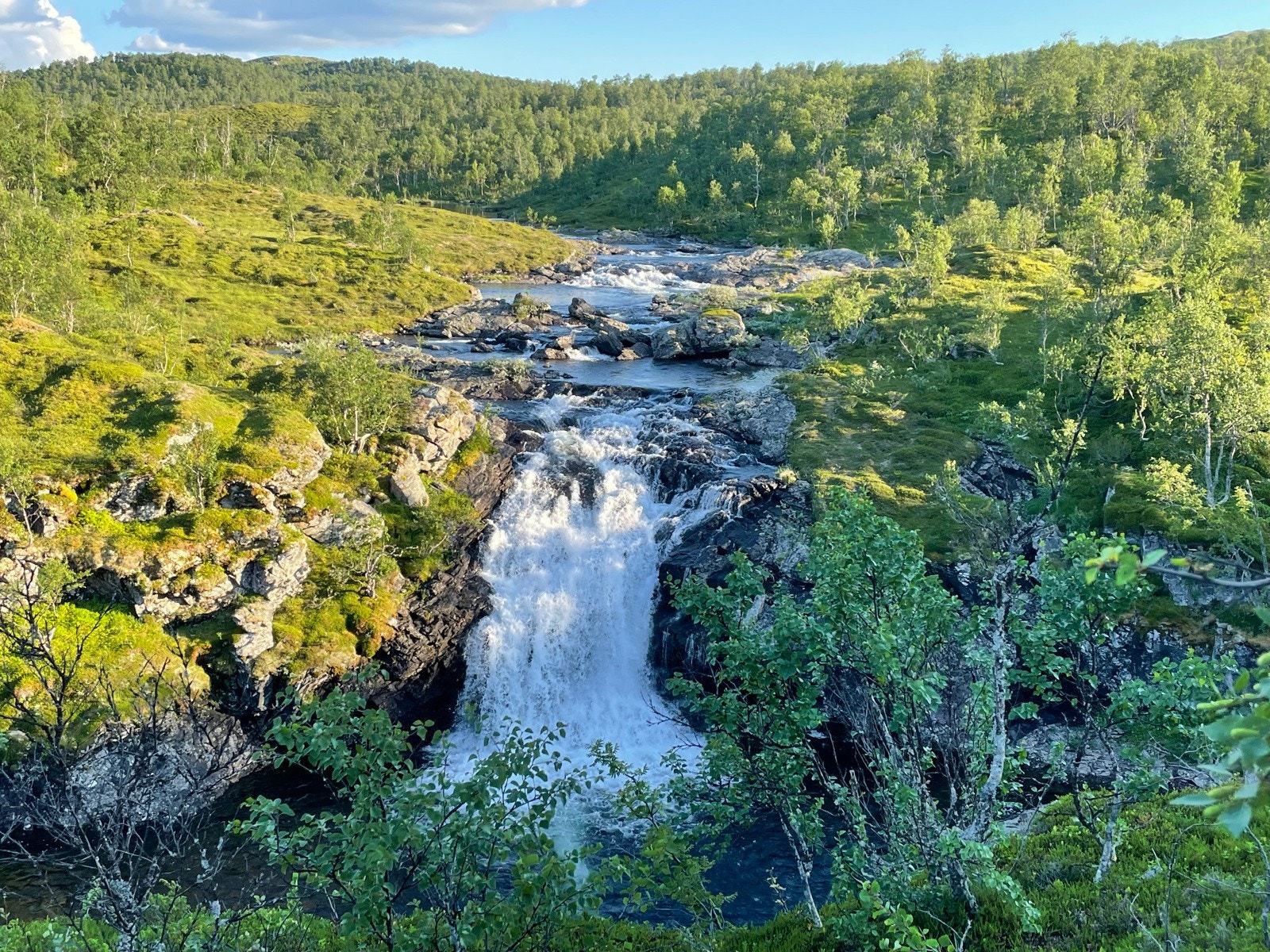 Bilde tatt av selger Galleribilde