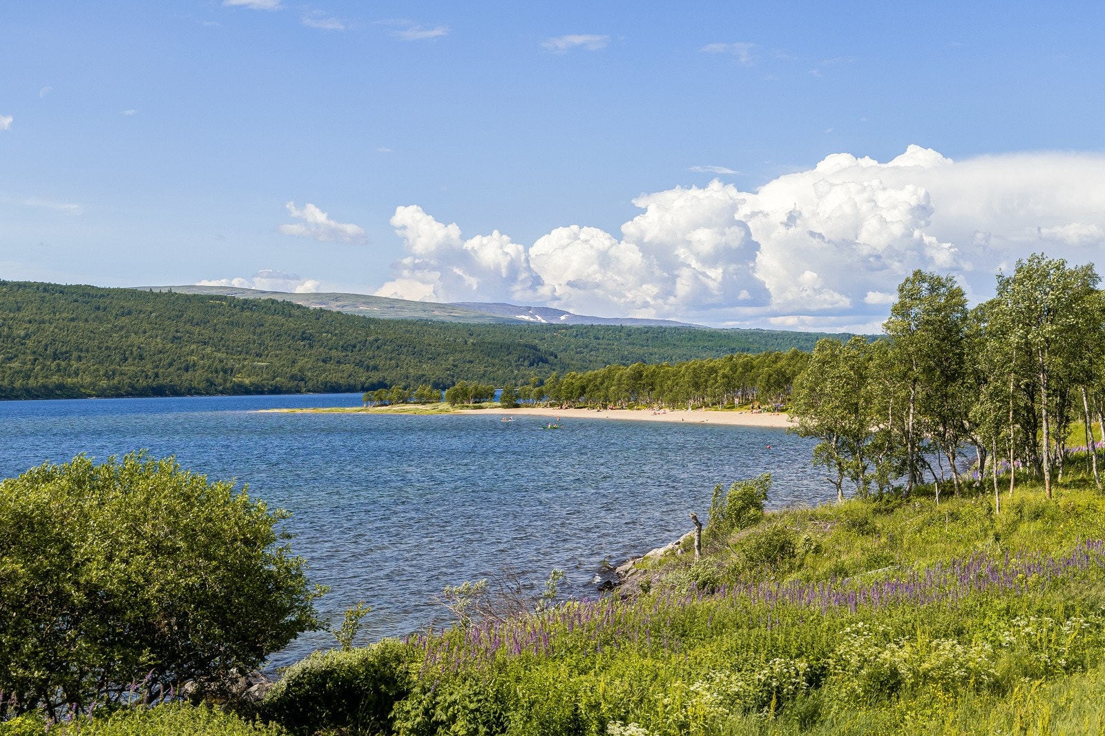 Stugusjøens fine strender innbyr også til badeliv på solrike dager. Stugusjøen, Væktarstua og Stugudal Landhandel ligger i nærheten Galleribilde