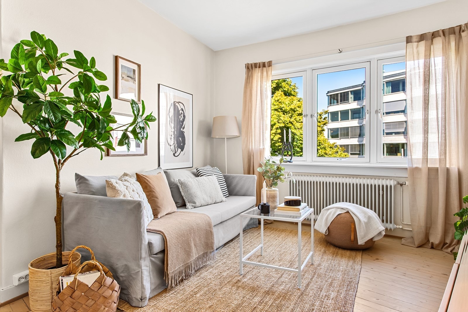 Store vindusflater slipper mye naturlig lys inn i rommet Galleribilde