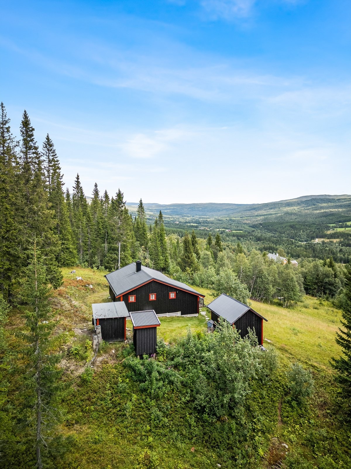 Eiendommen er omgitt av natur med rikt dyreliv, og turmulighetene er utallige. Galleribilde
