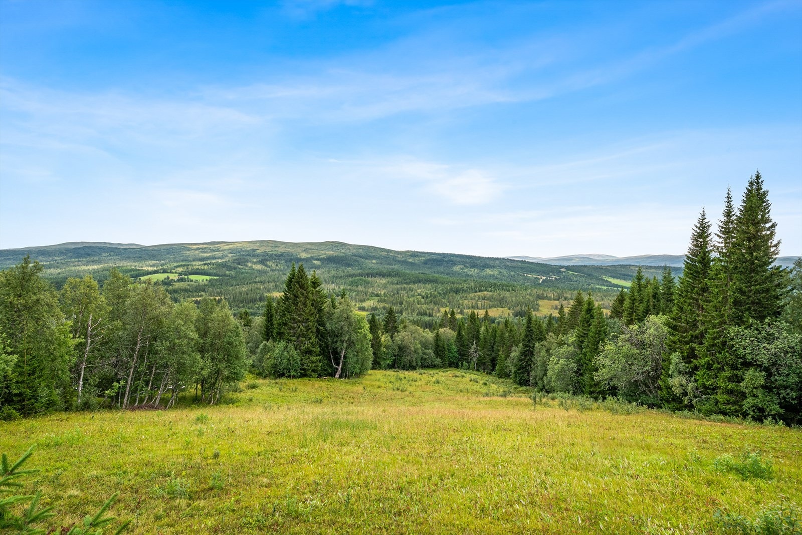 Skjermet beliggenhet med friområde foran hytten. Galleribilde