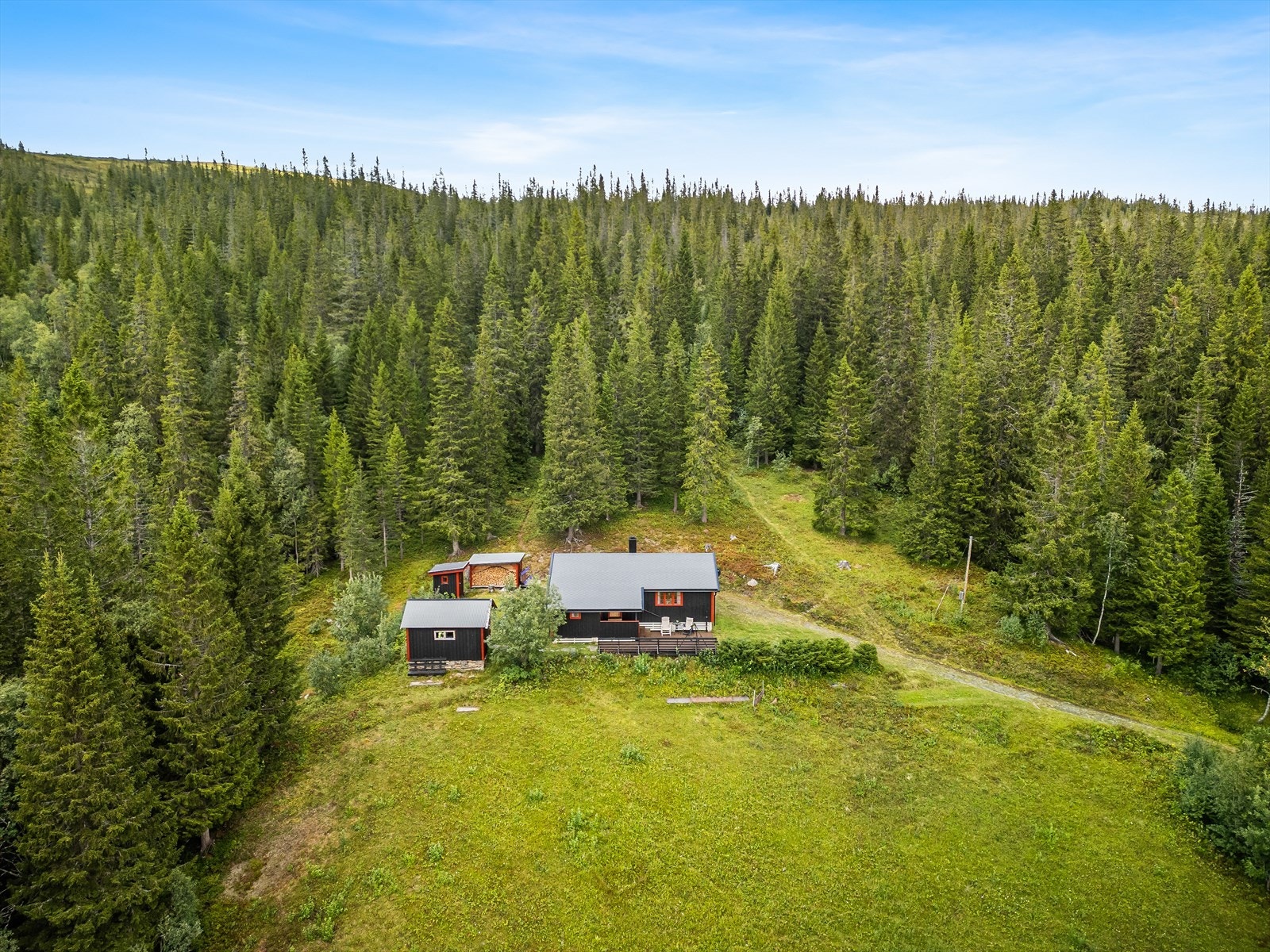 Velkommen til en hyggelig visning! Galleribilde