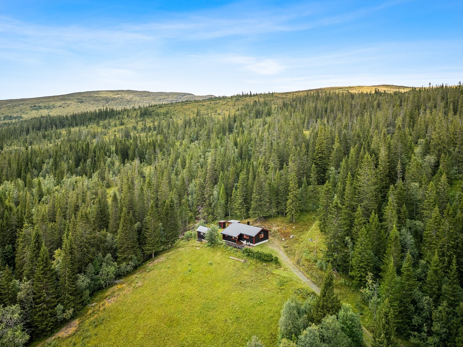 I nærheten av hytten er det oppkjørte skiløyper på vinters tid. Galleribilde