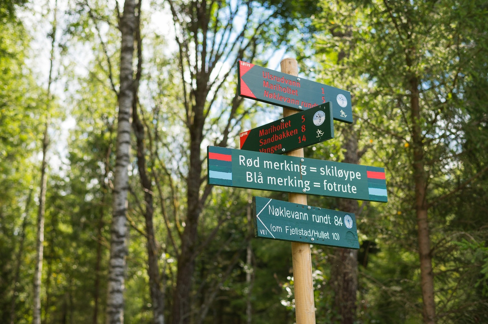 Umiddelbar nærhet til Østmarka med supre turmuligheter året rundt. Galleribilde