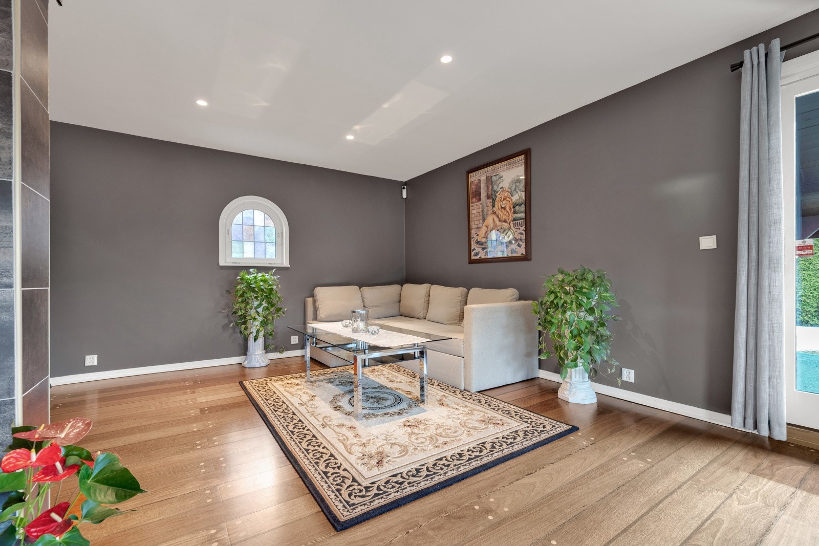 Stuen er malt i gråfarge med downlights i himling Galleribilde