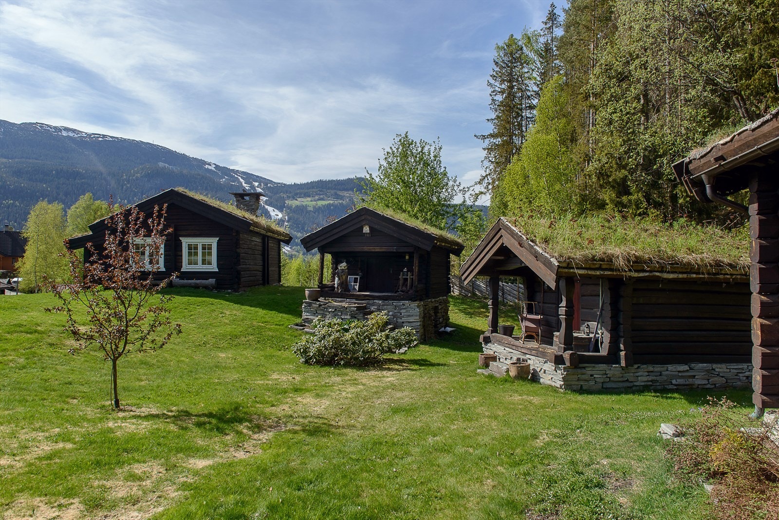 Eiendommen består av totalt 10 bygninger - blant annet den gamle husmannsplassen (til venstre), stabbur ( i midten) og eldhuset (til høyre). Galleribilde
