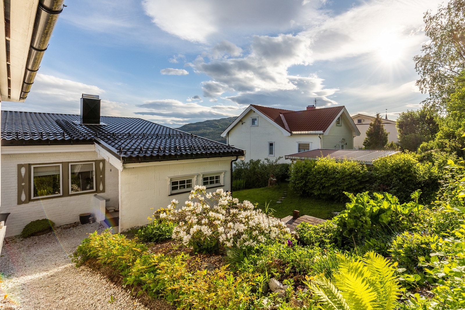 Pent opparbeidet uteområde med planter og busker Galleribilde