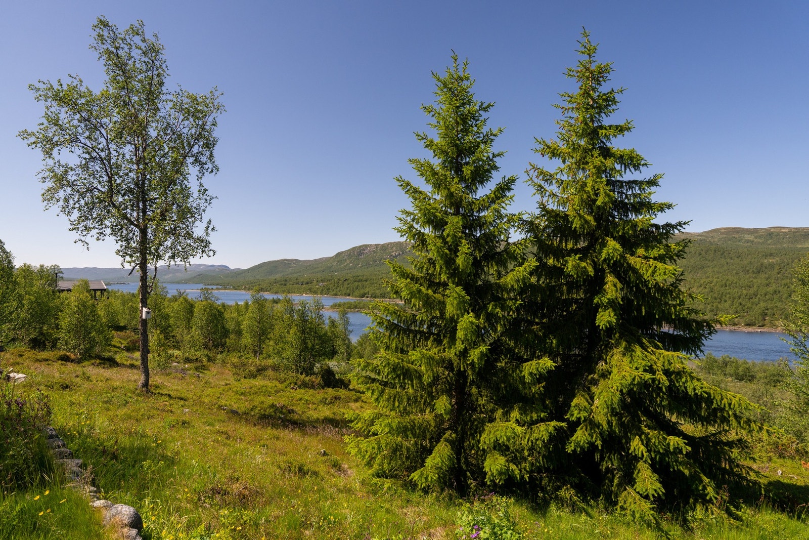 Her får man virkelig satt hverdagen på pause Galleribilde