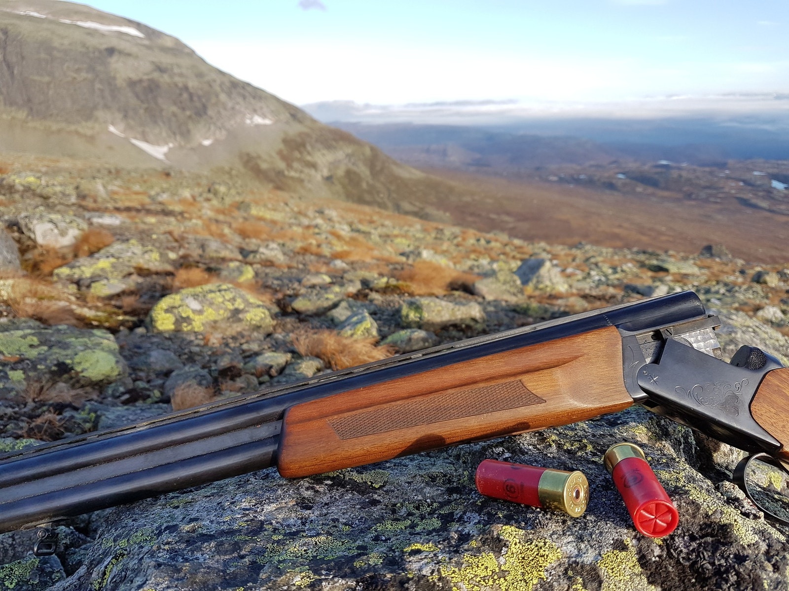 Gode jaktmuligheter i området Galleribilde