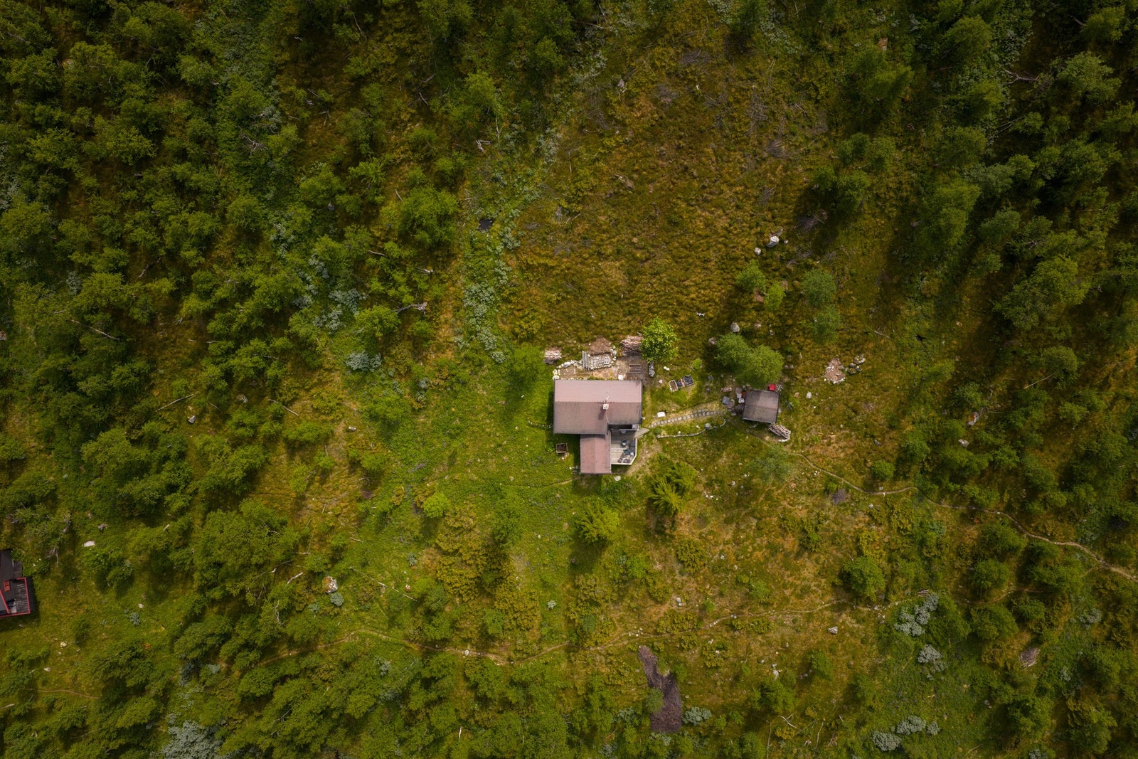 Hyttens tomt måler 4657,6 kvm - her har man god plass til å boltre seg på Galleribilde