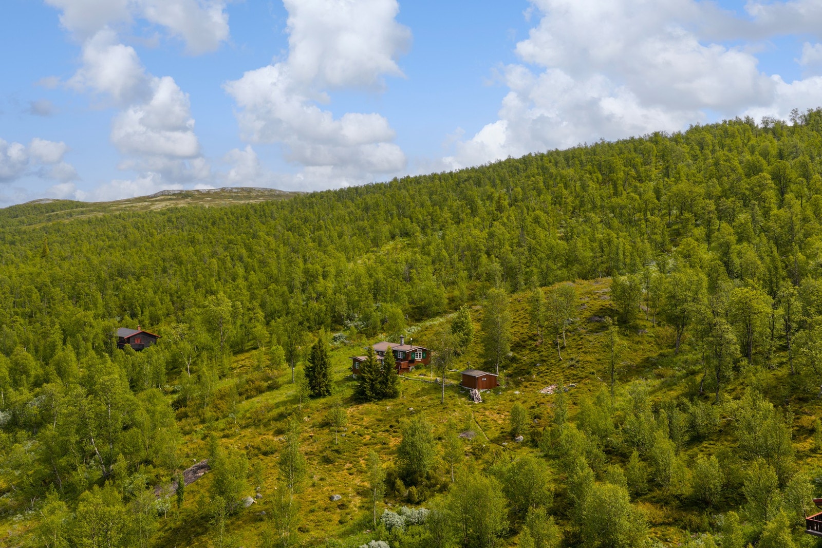 Her starter turløypene rett utenfor døren Galleribilde