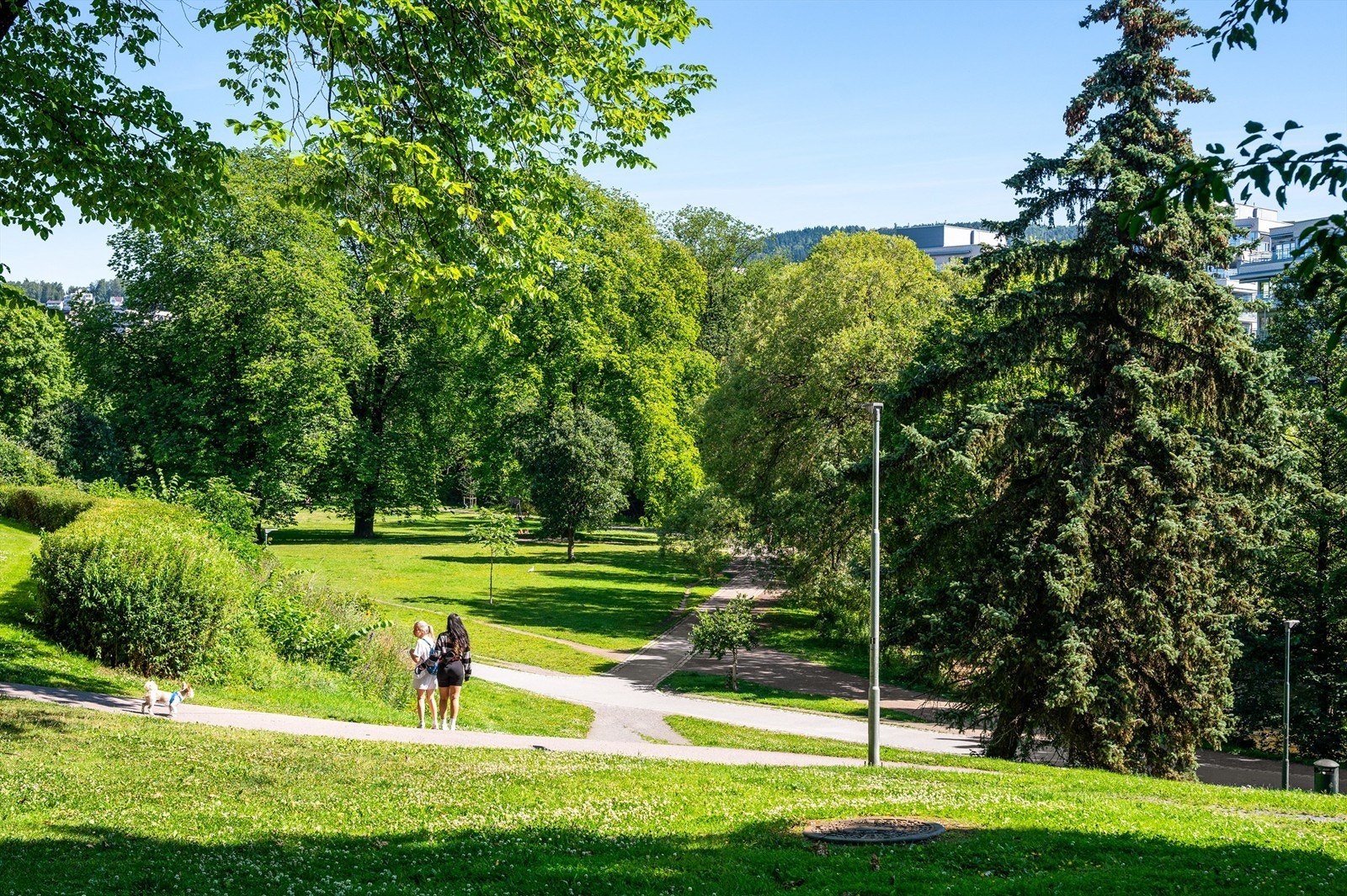 Med Akerselva som nærmeste nabo har du fine turmuligheter i umiddelbar nærhet. Galleribilde
