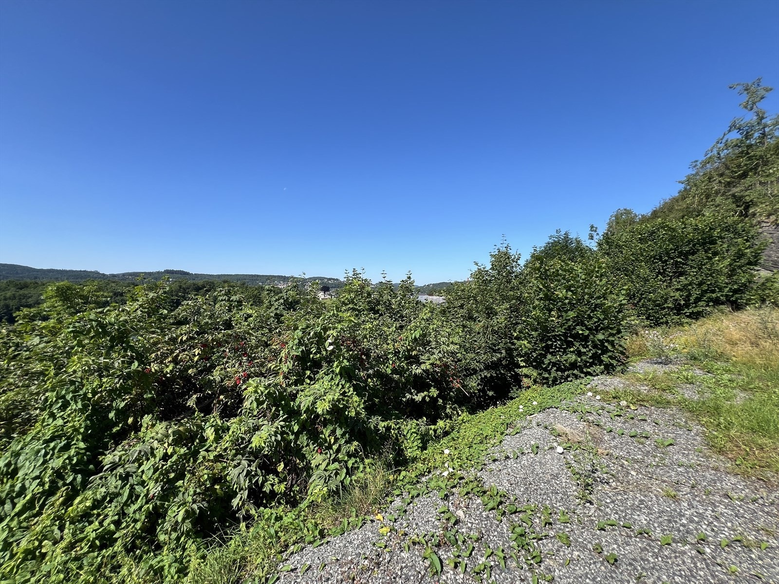 Perfekt for barnefamilien; sentralt, kort vei til butikk, barnehager, skoler og gode bussforbindelser. Galleribilde