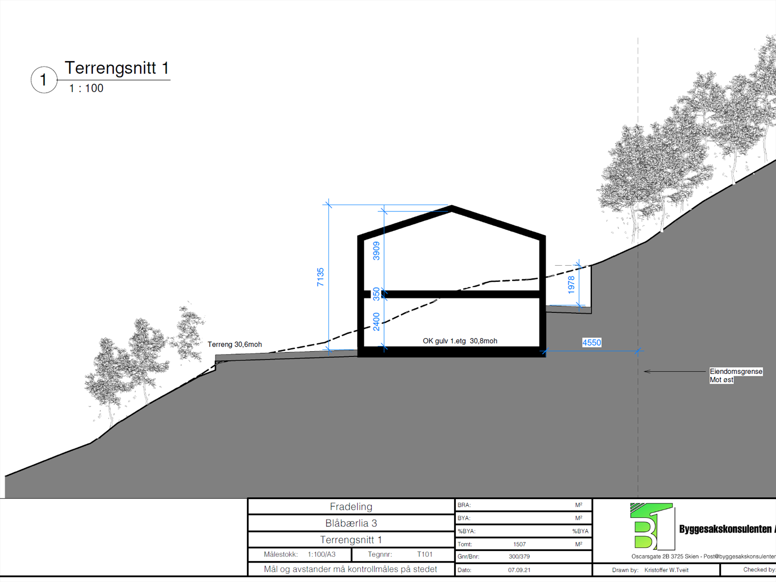 Forslag til bebyggelse på tomten. Galleribilde
