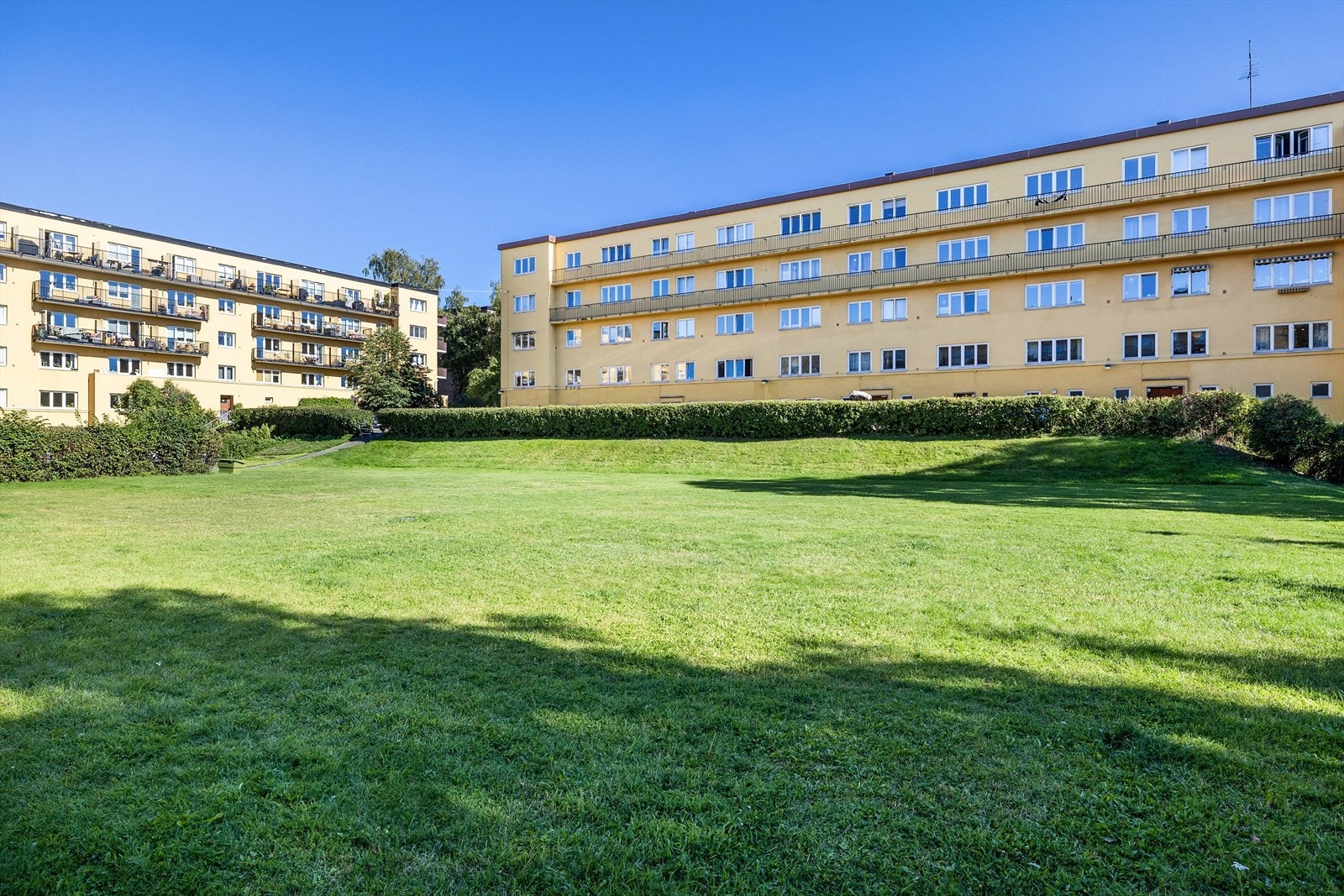 Grünerløkka ligger innen gangavstand og er kjent for sitt ute- og kulturliv. I tillegg finnes noen av byens mest populære restauranter og kaféer her i dette området Galleribilde