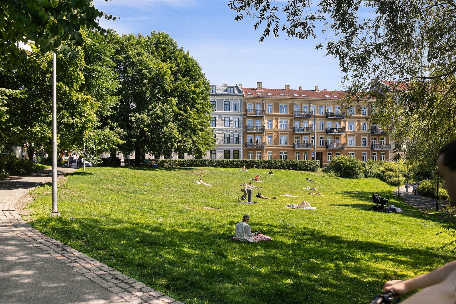 Det er lov med dyr i sameiet. Ta med deg din firbente venn på tur! Galleribilde