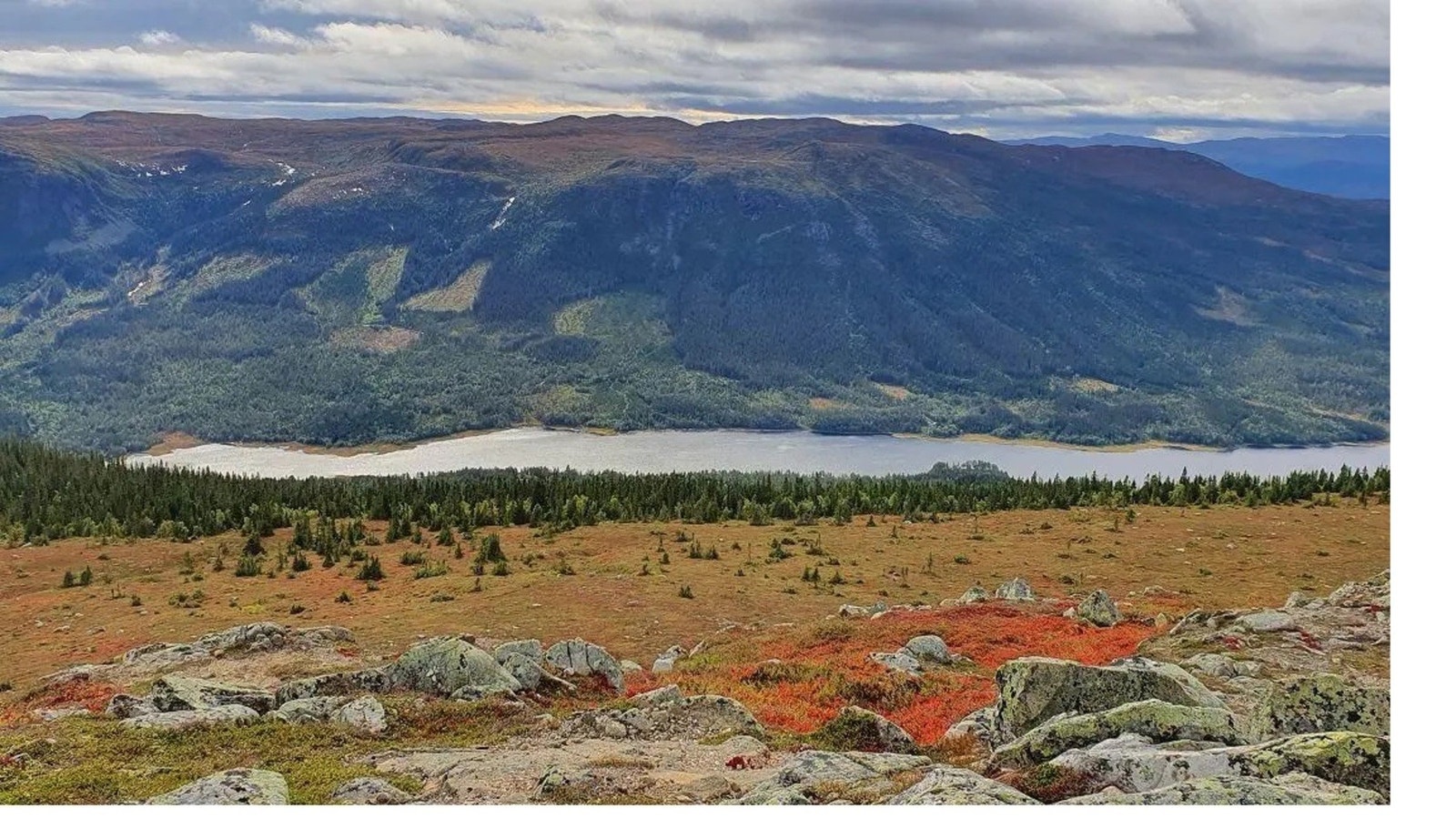 Mot Aurdalsfjorden. Foto: Fredrik Holte Breien Galleribilde