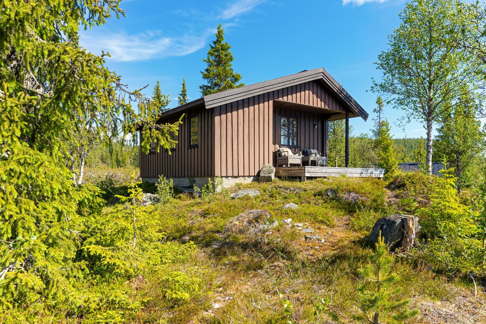 Naturtomt Galleribilde
