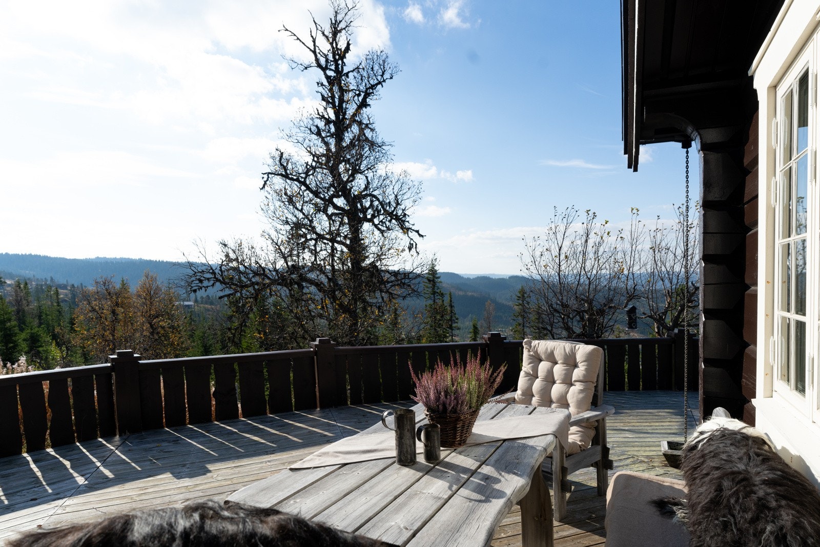 Usjenert terrasse uten innsyn fra andre naboer. Galleribilde