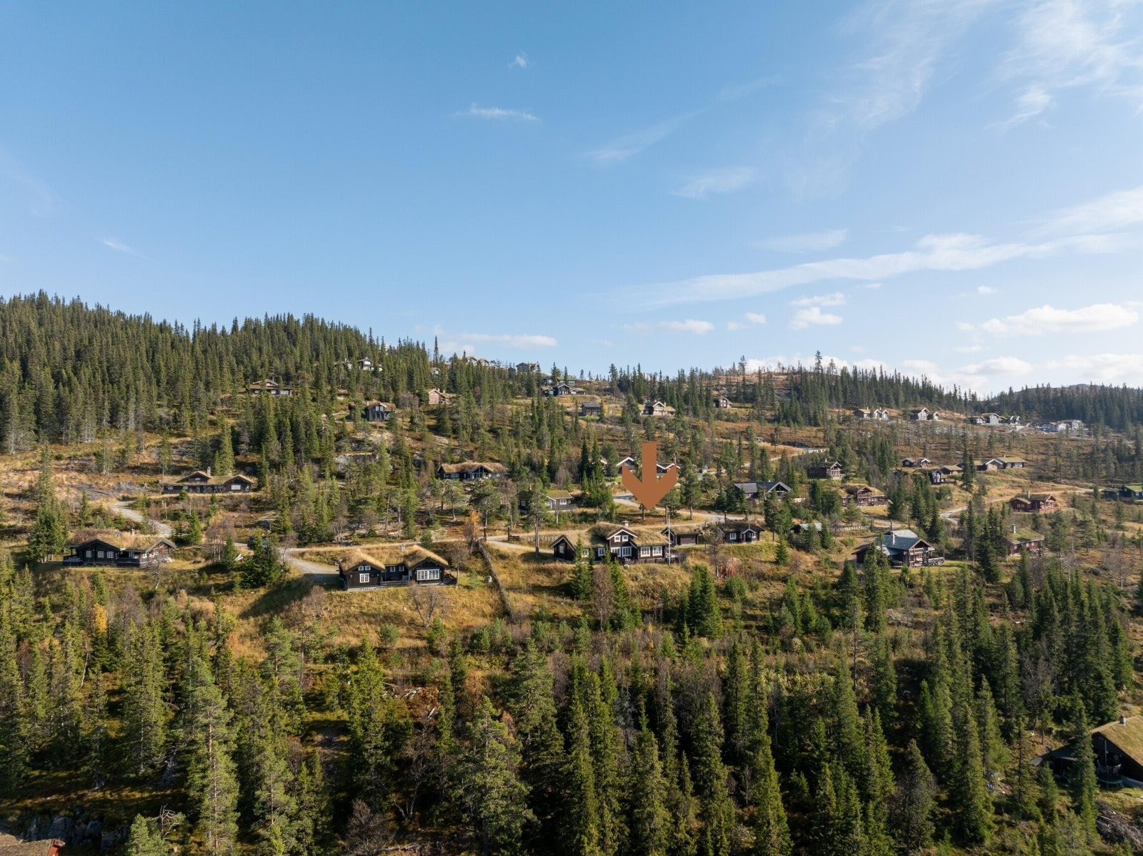 Sommerbilde av området rundt hytten. Galleribilde