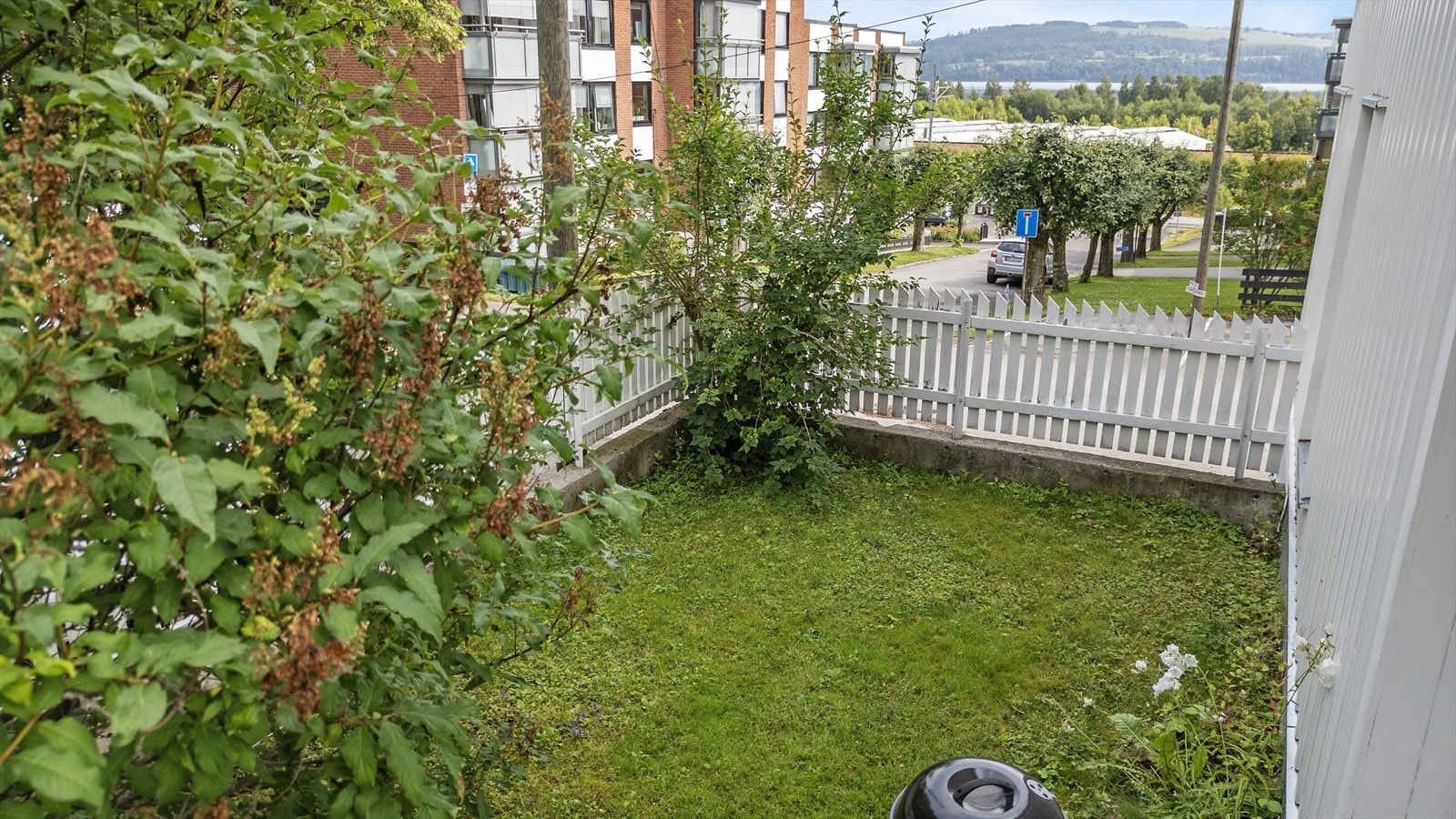 Felles tomt med plen. Galleribilde