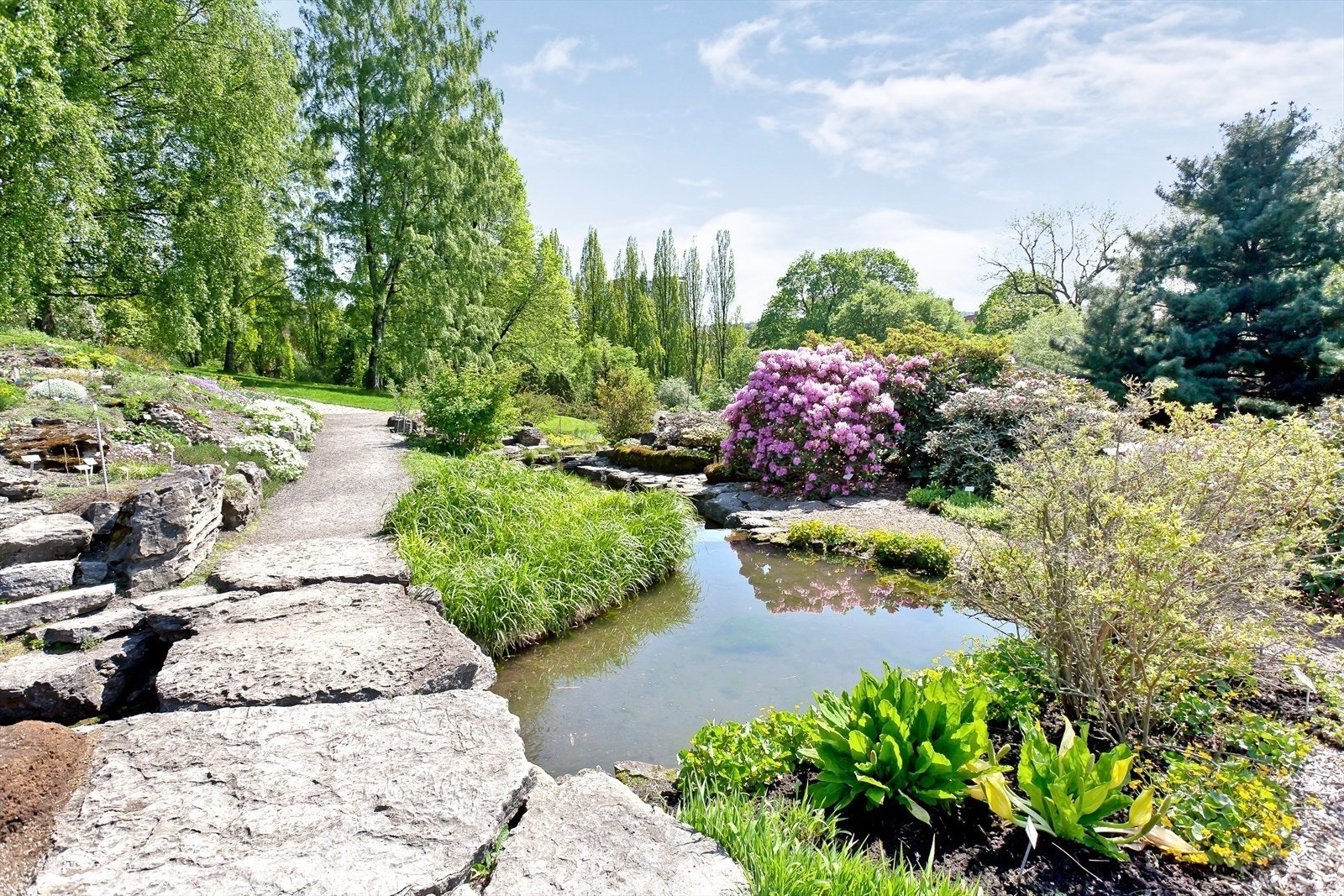 Idylliske Botanisk hage er kun en kort spasertur fra boligen. Absolutt verdt besøket på sommerstid! Galleribilde