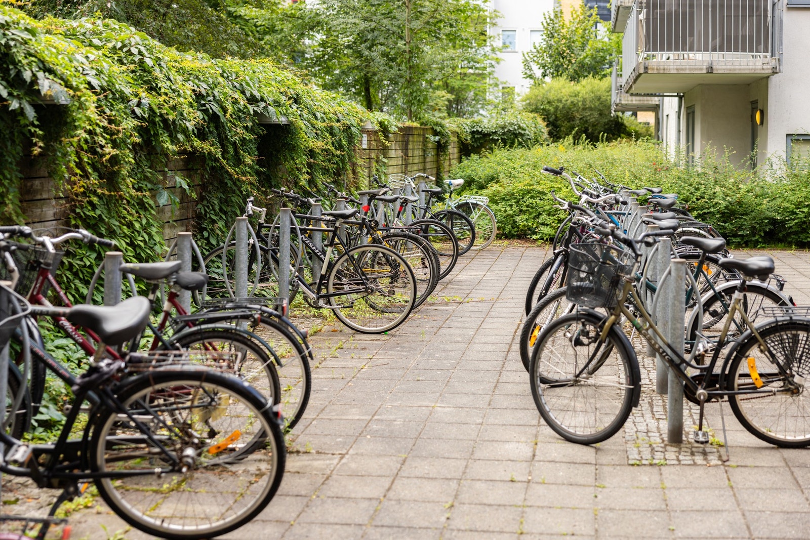 Sykkelparkering i skjermet gårdsrom. Galleribilde