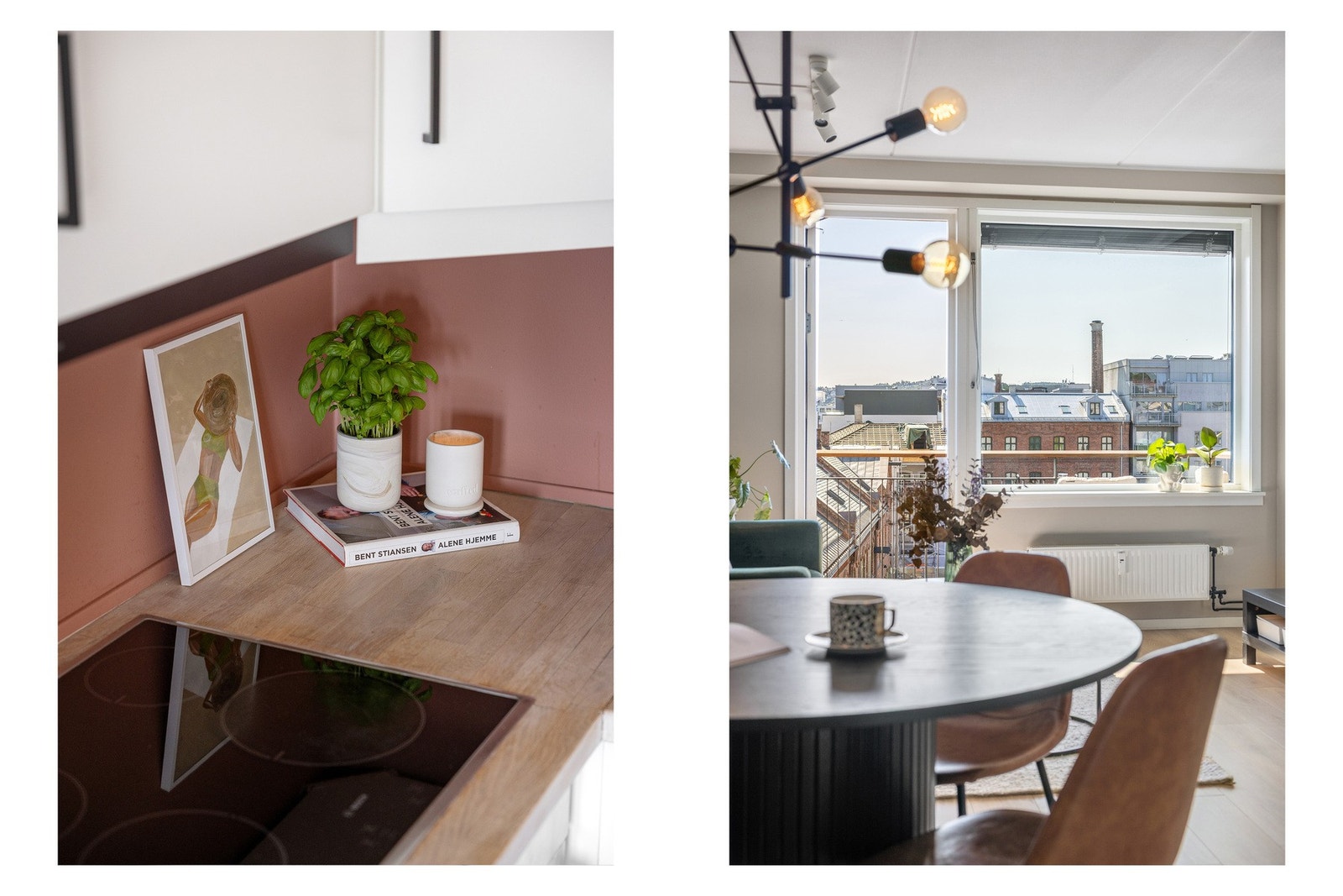 Dyrehold er tillatt. Galleribilde