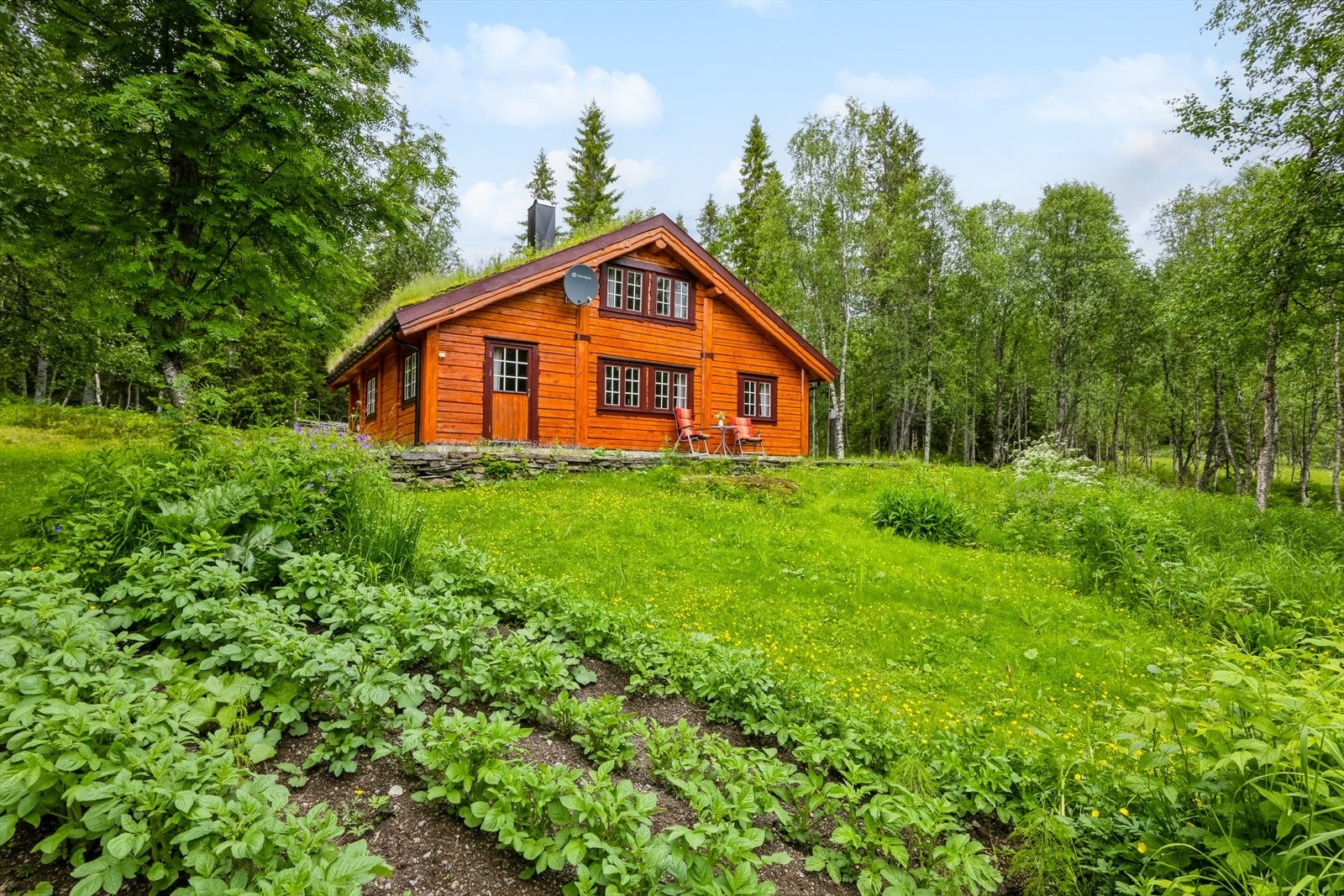 Uteområde. Galleribilde
