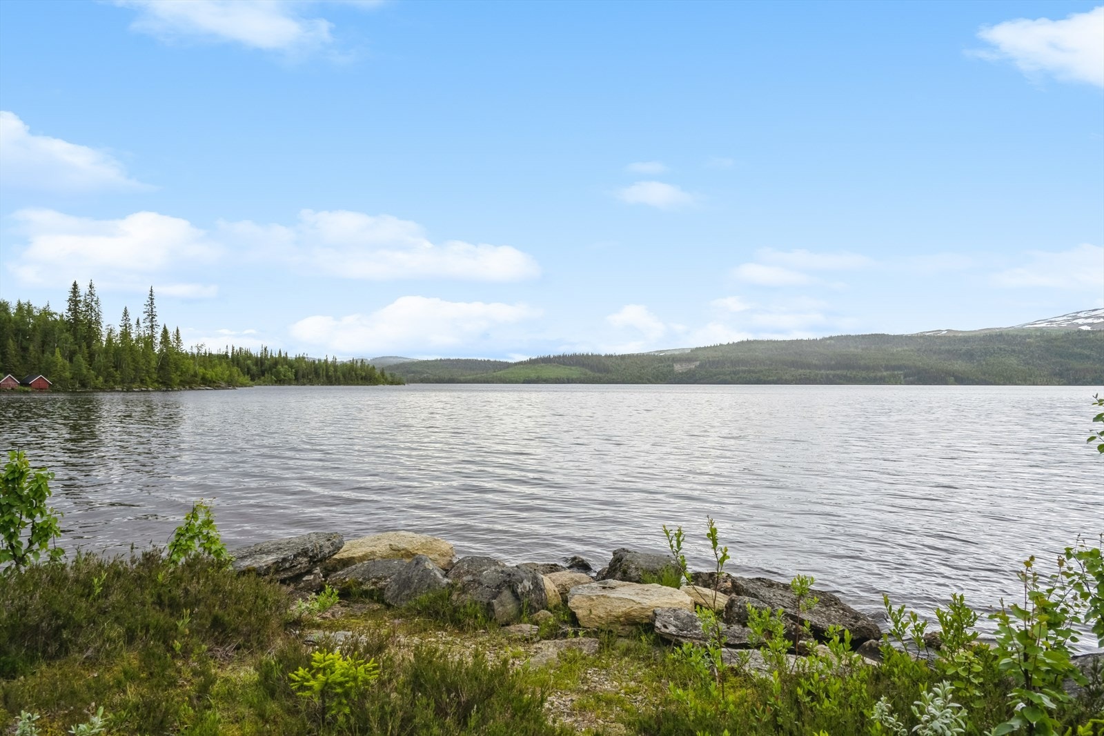 Område nede ved Laksjøen. Galleribilde
