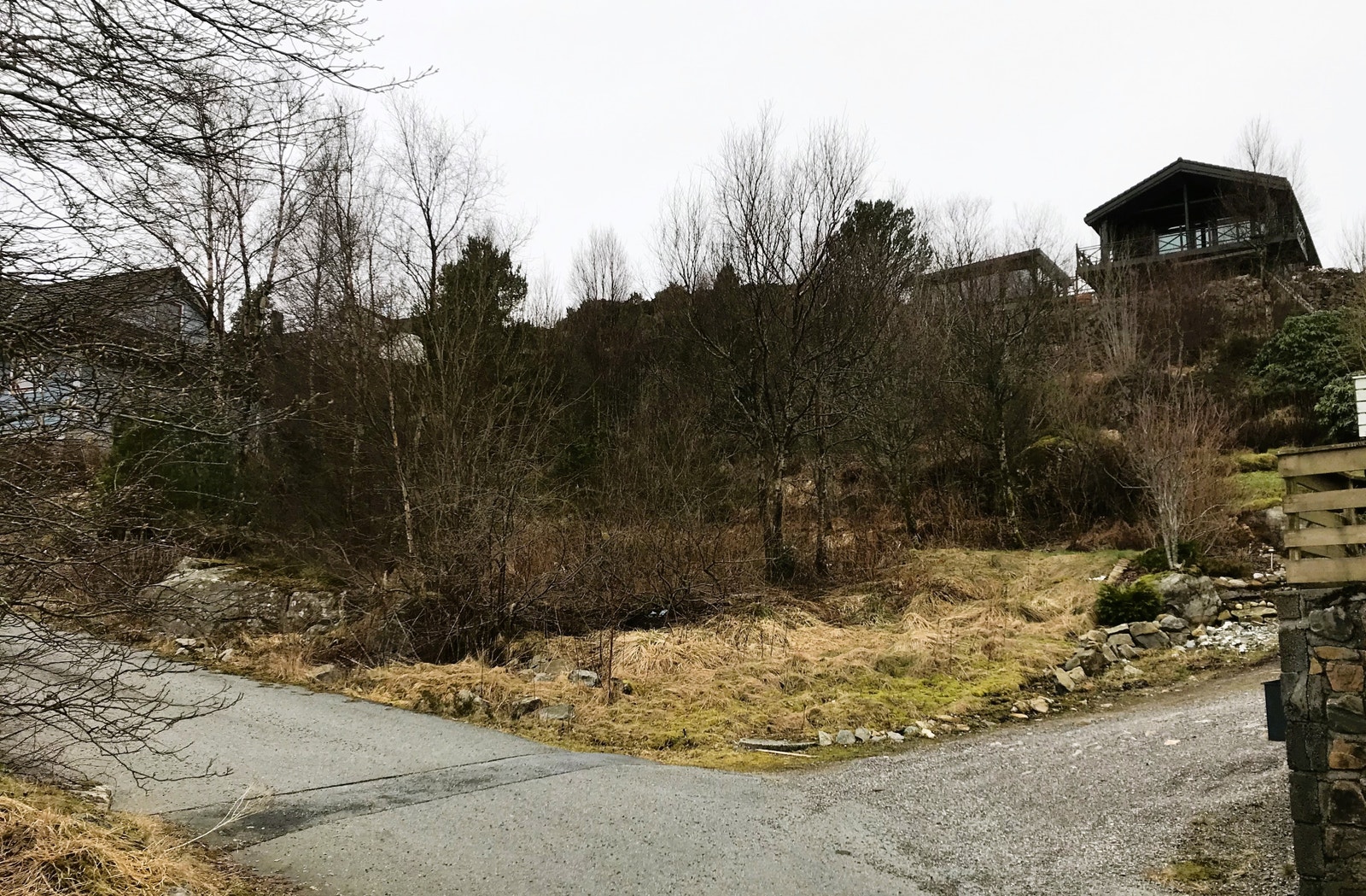Tomten sett fra tilførselsvei Galleribilde