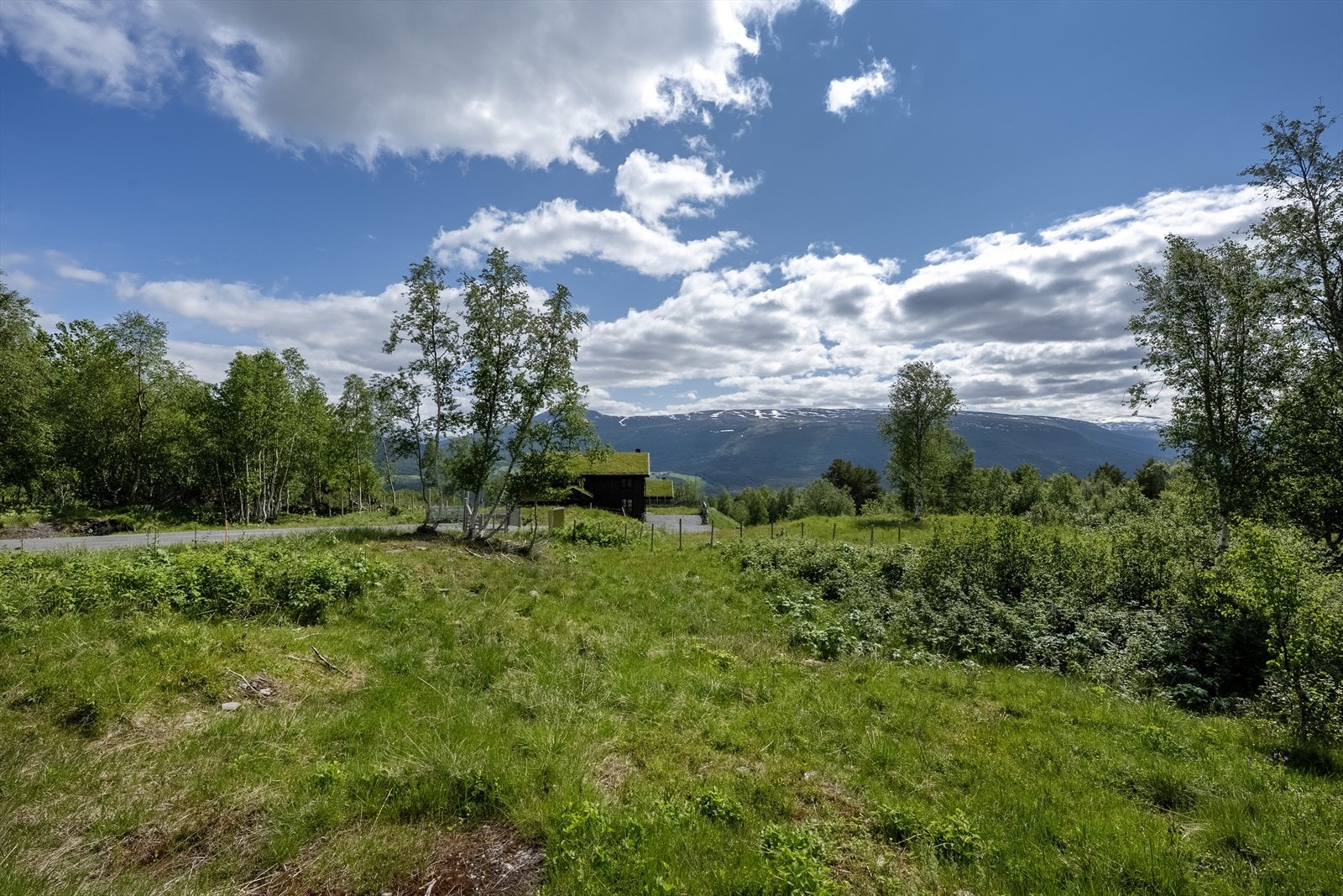 Utsikt og omgivelser Galleribilde