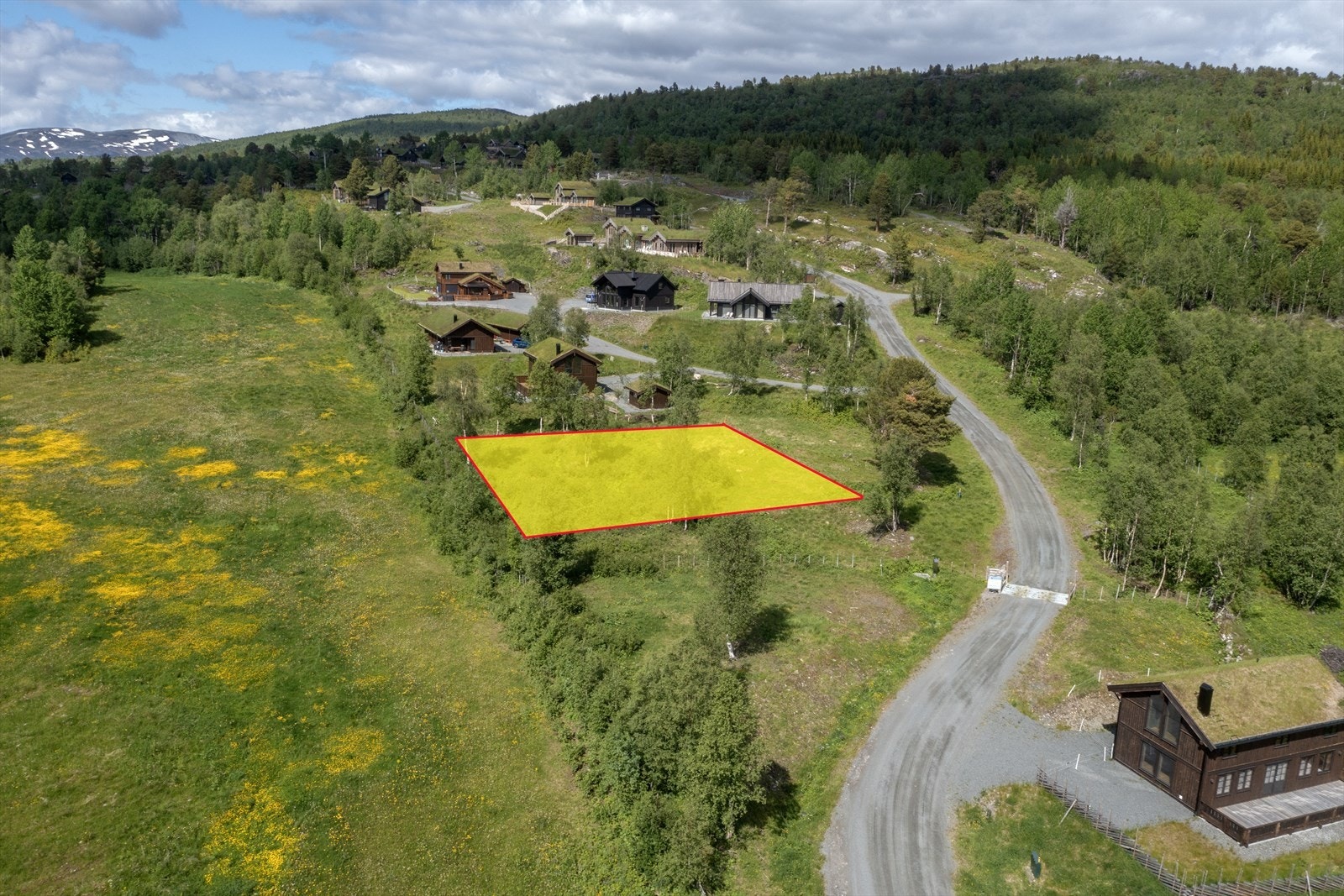 Oversiktsbilde Galleribilde