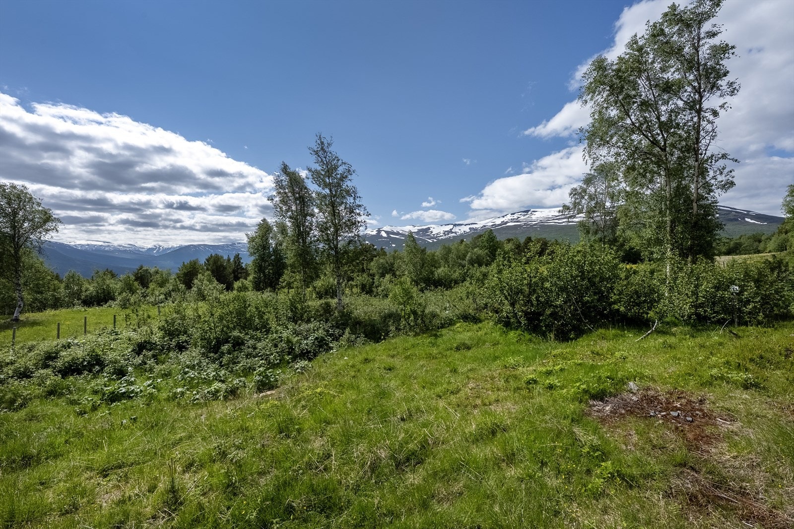 Utsikt og omgivelser Galleribilde